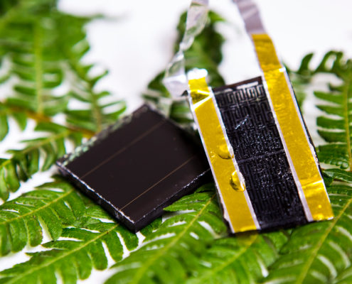 Bio-inspired-energy-storage